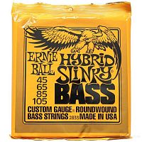 Ernie Ball 2833